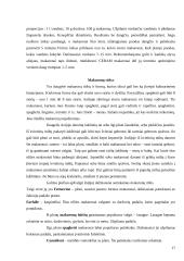 Italų virtuvė 16 puslapis