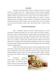 Italų virtuvė 8 puslapis