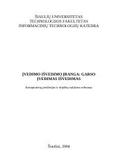 Įvedimo išvedimo įranga: garso įvedimas išvedimas