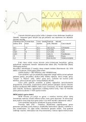 Įvedimo išvedimo įranga: garso įvedimas išvedimas 11 puslapis