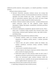 Mediacijos samprata 2 puslapis