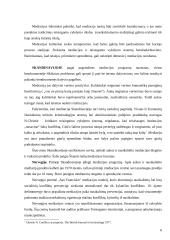 Mediacijos samprata 6 puslapis