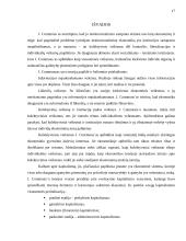 J.R. Commons (J. Komonso) institucionalizmo idėjos 17 puslapis