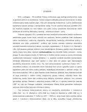 J.R. Commons (J. Komonso) institucionalizmo idėjos 3 puslapis