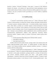 J.R. Commons (J. Komonso) institucionalizmo idėjos 10 puslapis