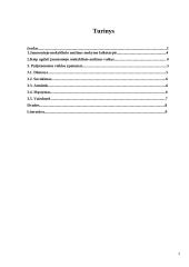 Jaunesniojo mokyklinio amžiaus vaikų ugdymas 2 puslapis