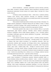 Moteriškumo ir vyriškumo mitas šiuolaikinėje masinėje komunikacijoje 11 puslapis