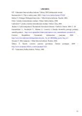 Moteriškumo ir vyriškumo mitas šiuolaikinėje masinėje komunikacijoje 13 puslapis