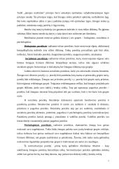 Motyvai. Motyvų samprata ir hierarchija A. Maslou teorijoje 3 puslapis