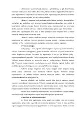 Nevyriausybinės organizacijos (NVO): Raudonojo kryžiaus organizacija 6 puslapis