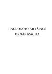 Nevyriausybinės organizacijos (NVO): Raudonojo kryžiaus organizacija 9 puslapis