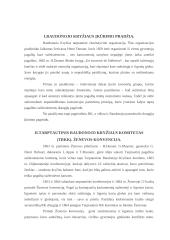 Nevyriausybinės organizacijos (NVO): Raudonojo kryžiaus organizacija 10 puslapis