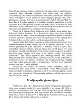 Jono Basanavičiaus biografija ir kūryba 3 puslapis