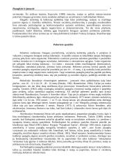 Paauglystė ir jaunystė 2 puslapis