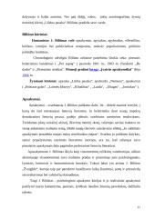 Jonas Biliūnas - kūryba bei gyvenimas 11 puslapis