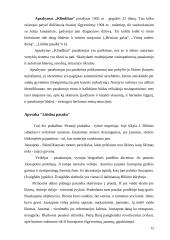 Jonas Biliūnas - kūryba bei gyvenimas 12 puslapis