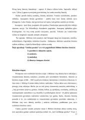 Jonas Biliūnas - kūryba bei gyvenimas 13 puslapis