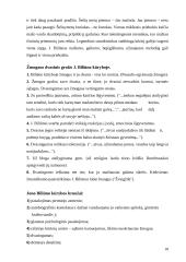 Jonas Biliūnas - kūryba bei gyvenimas 18 puslapis