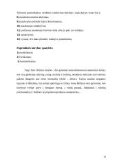 Jonas Biliūnas - kūryba bei gyvenimas 19 puslapis