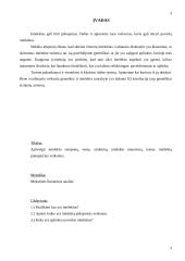 Paveldimumo ir aplinkos poveikis intelektui 2 puslapis