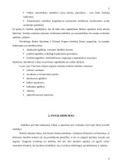 Paveldimumo ir aplinkos poveikis intelektui 5 puslapis