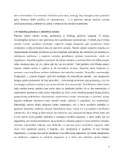 Platono gnoseologija 8 puslapis