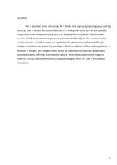 Jungtinių Amerikos valstijų socialinės ir ekonominės raidos analizė 10 puslapis