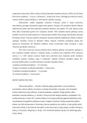 Jungtinių Amerikos valstijų socialinės ir ekonominės raidos analizė 6 puslapis