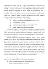Prievarta kaip egzistencijos problema 2 puslapis