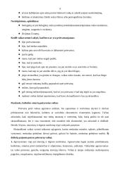 Prievarta kaip egzistencijos problema 4 puslapis