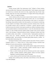 Protiškai atsilikusių vaikų ugdymas 6 puslapis