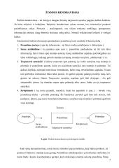 Sakytinės informacijos valdymas 3 puslapis