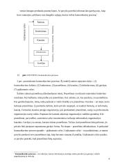 Sakytinės informacijos valdymas 4 puslapis