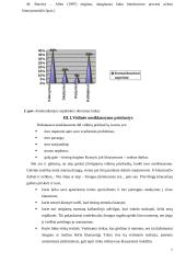 Sakytinės informacijos valdymas 7 puslapis