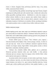 Kalbos raida pirmaisiais dvejais gyvenimo metais 6 puslapis