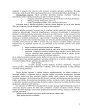 Socialinės apsaugos reforma Lietuvoje 1990-2003 metais 5 puslapis