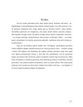 Karma ir reinkarnacija 12 puslapis