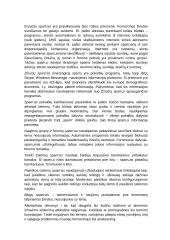 Spamo problema: argumentai už ir prieš 4 puslapis