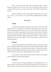 Kava ir jos poveikis žmogaus sveikatai 5 puslapis