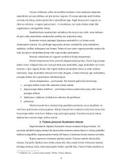 Kazimiero teisynas ir jo pagrindiniai bruožai 5 puslapis