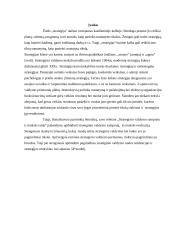 Strateginio valdymo samprata ir mokslo raida 2 puslapis