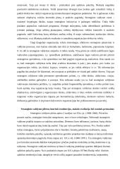 Strateginio valdymo samprata ir mokslo raida 4 puslapis