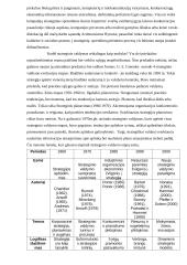Strateginio valdymo samprata ir mokslo raida 5 puslapis