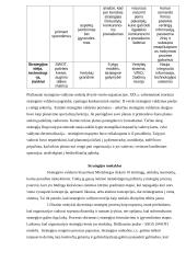 Strateginio valdymo samprata ir mokslo raida 6 puslapis
