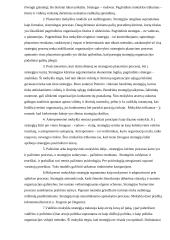 Strateginio valdymo samprata ir mokslo raida 7 puslapis