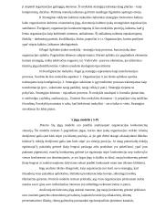 Strateginio valdymo samprata ir mokslo raida 8 puslapis