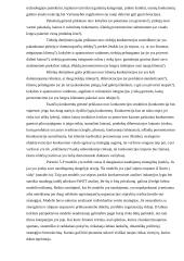 Strateginio valdymo samprata ir mokslo raida 9 puslapis