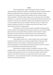 Strateginio valdymo samprata ir mokslo raida 10 puslapis