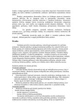 Keinso taupymo ir vartojimo modelis 13 puslapis
