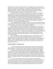 Keinso taupymo ir vartojimo modelis 8 puslapis